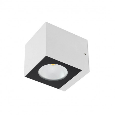 12W LED Sieninis šviestuvas TEKO White IP65 90100